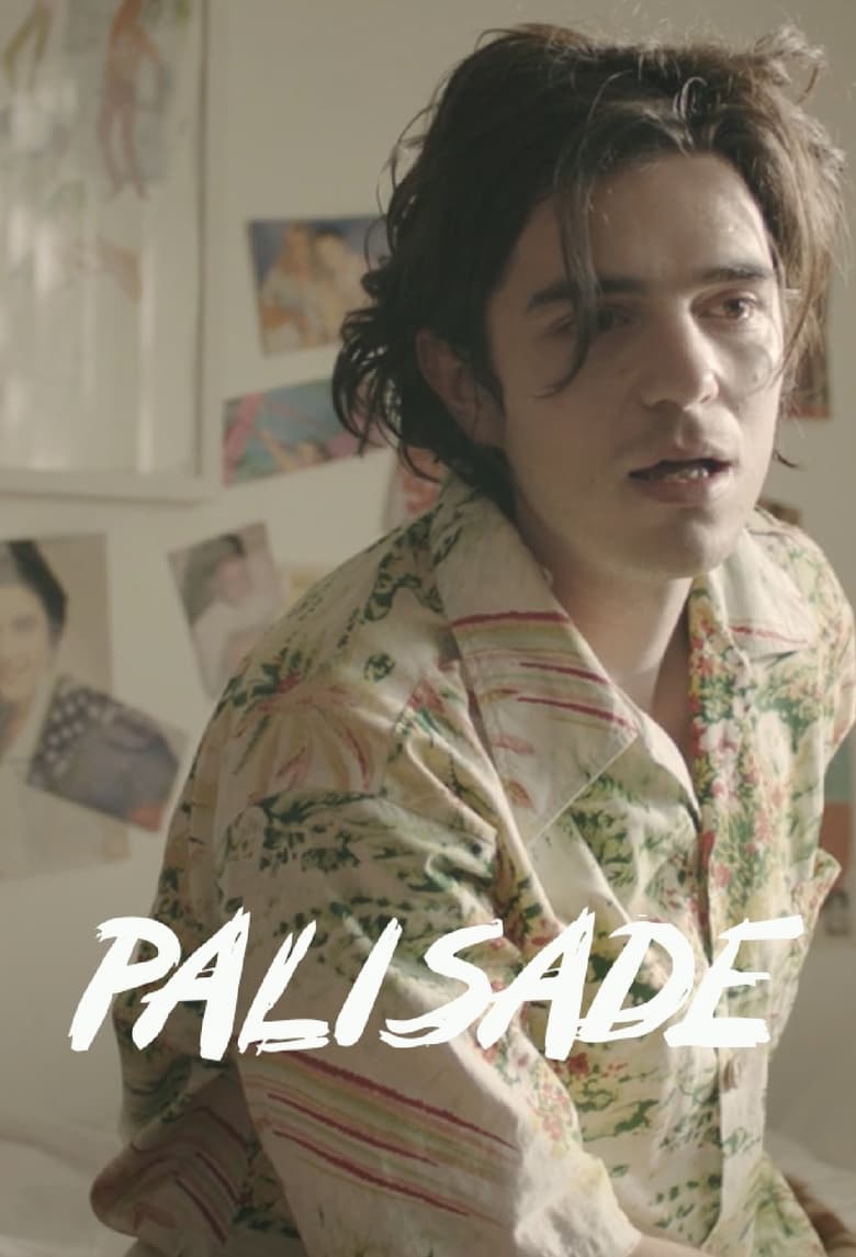 Poster of Palisade