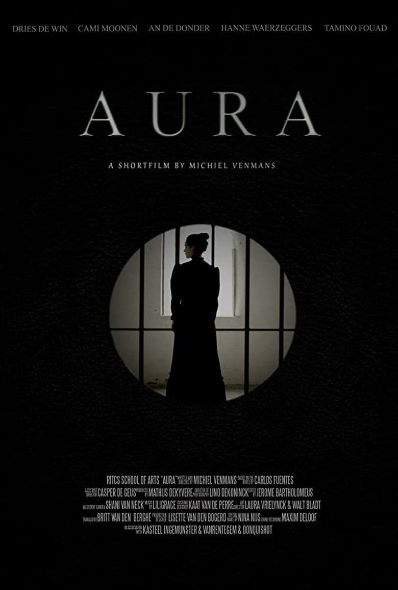 Poster of Aura