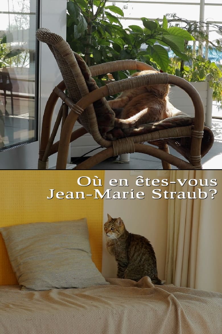 Poster of Où en êtes-vous, Jean-Marie Straub ?