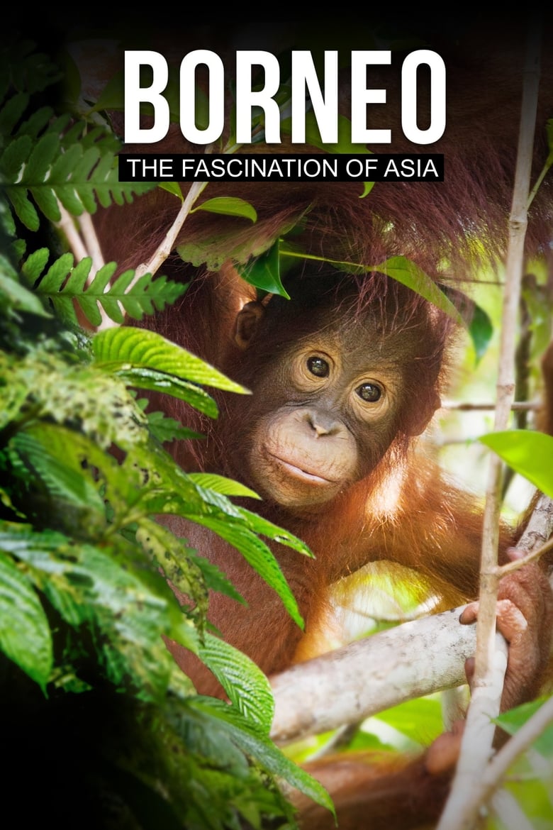 Poster of Borneo: The Fascination of Asia