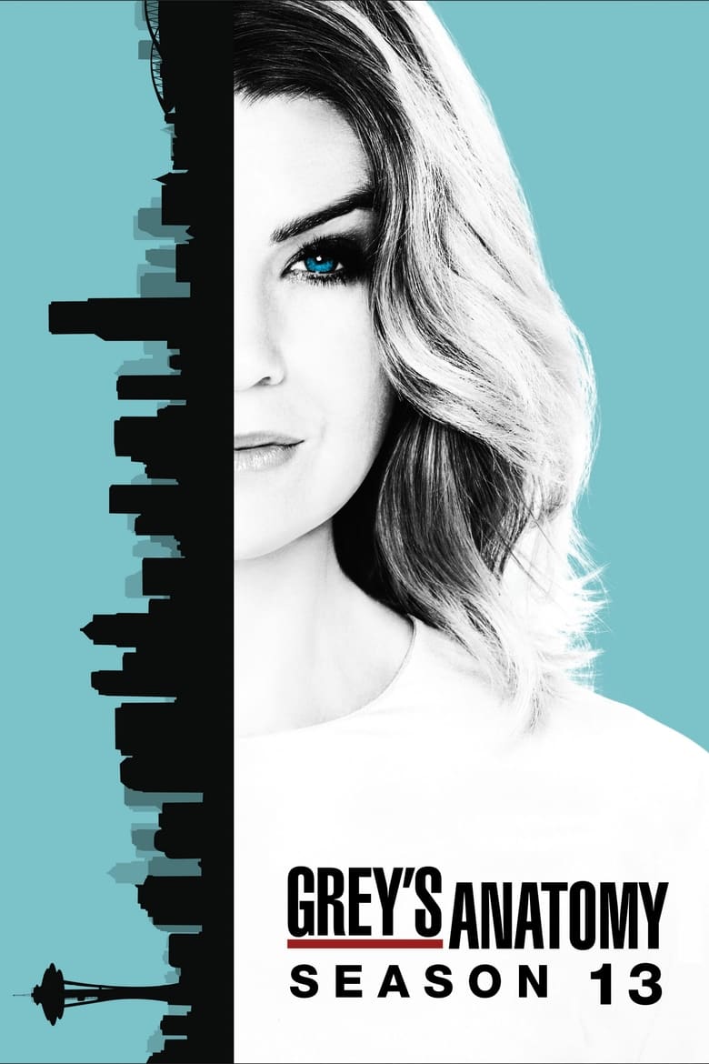 Poster of Episodes in Grey's Anatomy - Season 13 - Season 13