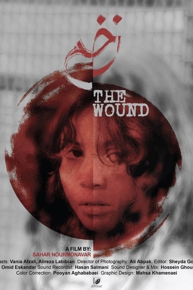 Poster of The Wound