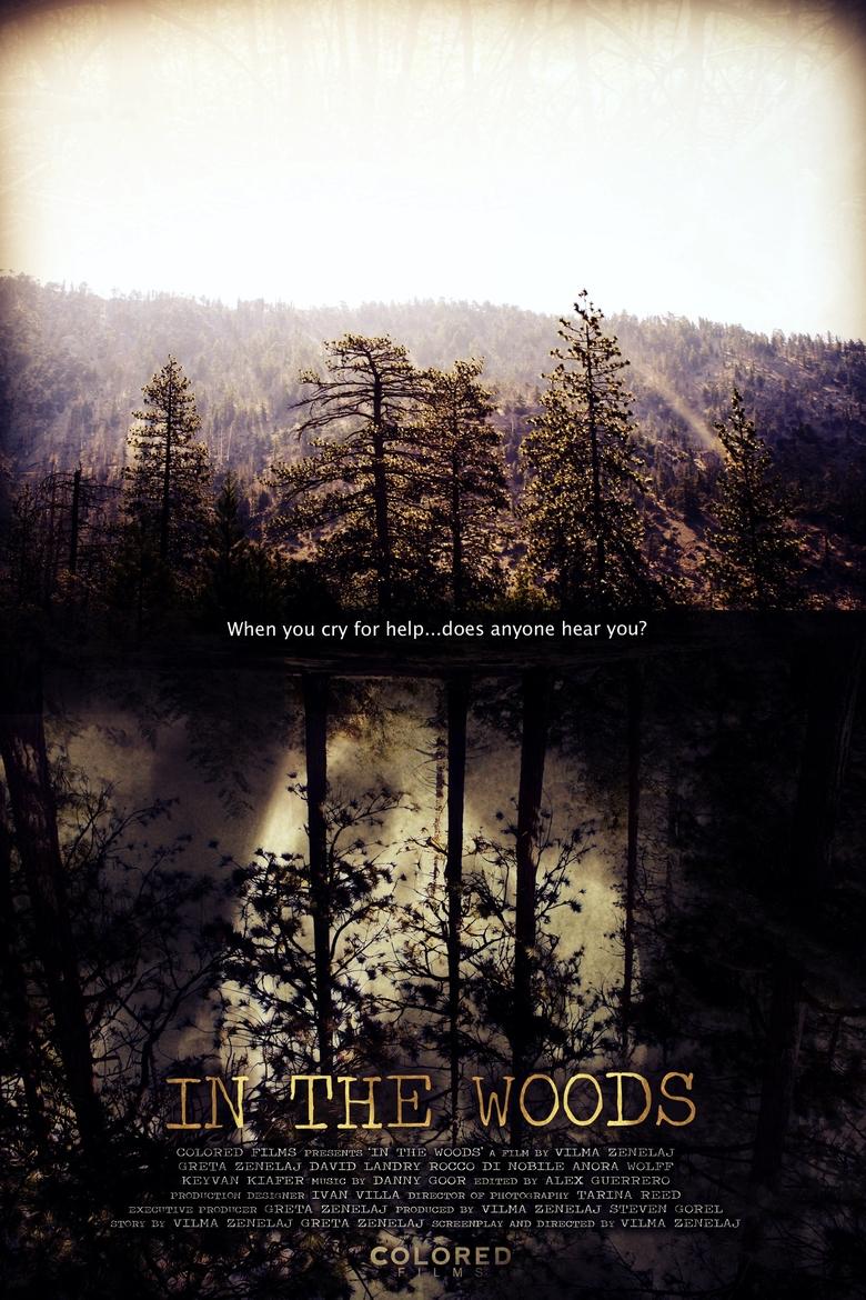 Poster of In the Woods