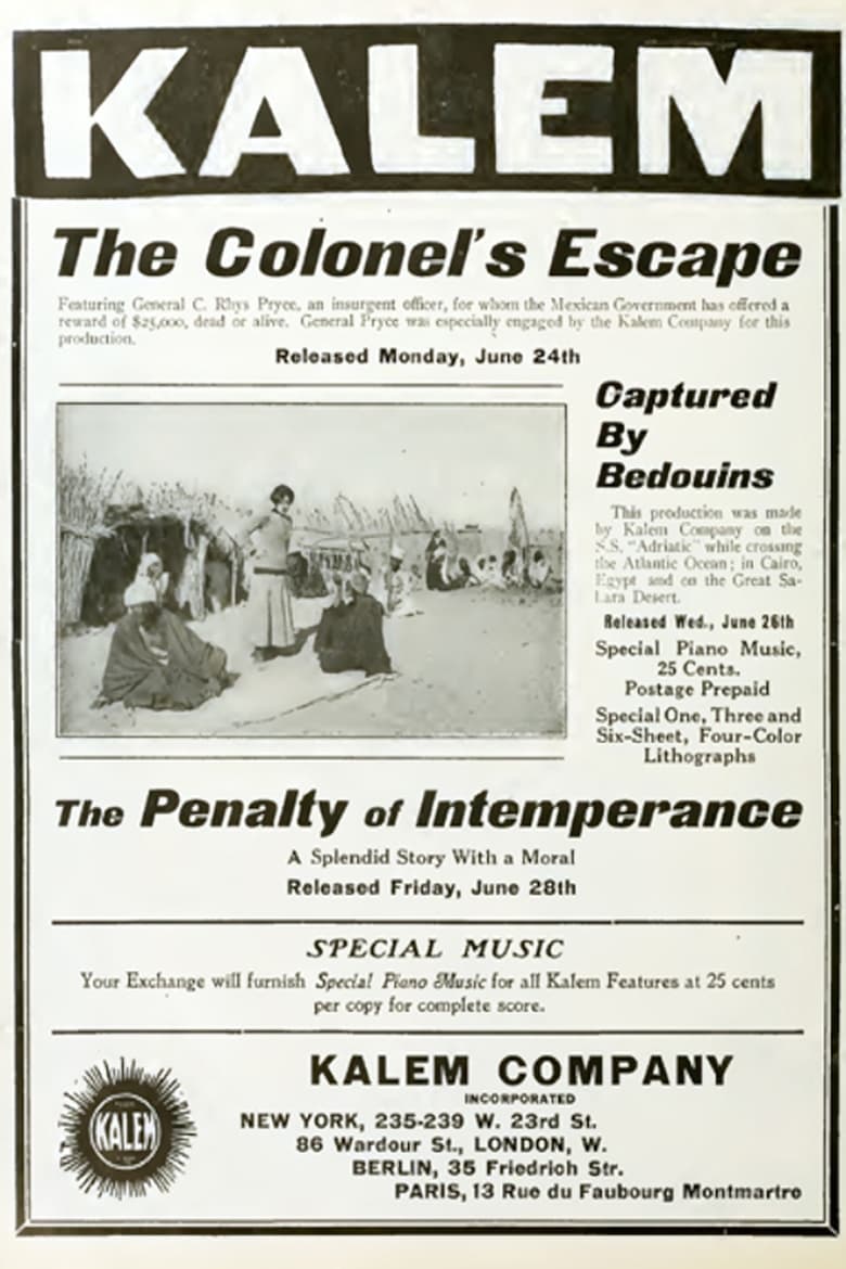 Poster of The Penalty of Intemperance