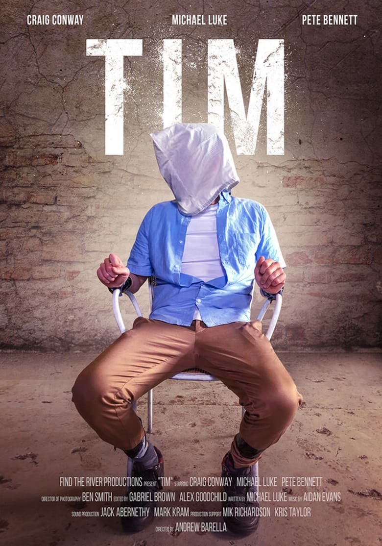 Poster of Tim