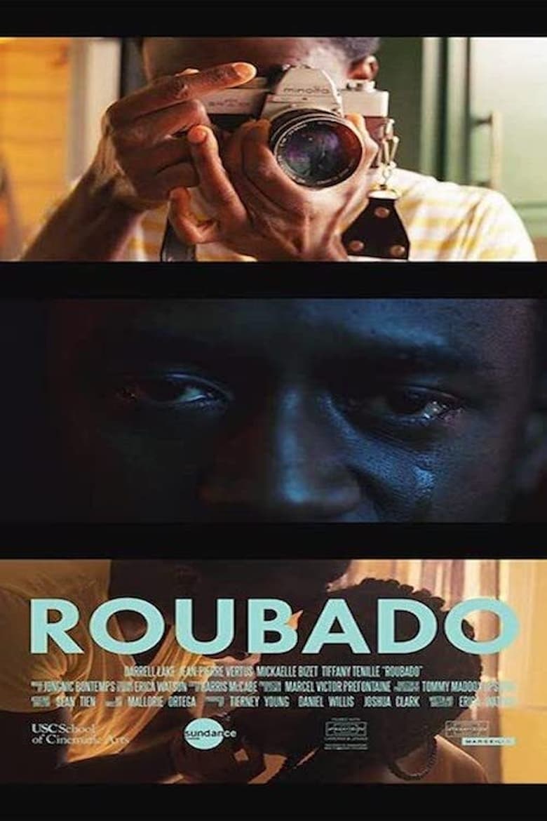 Poster of Roubado