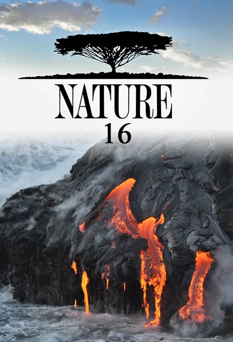 Poster of Episodes in Nature - Season 16 - Season 16