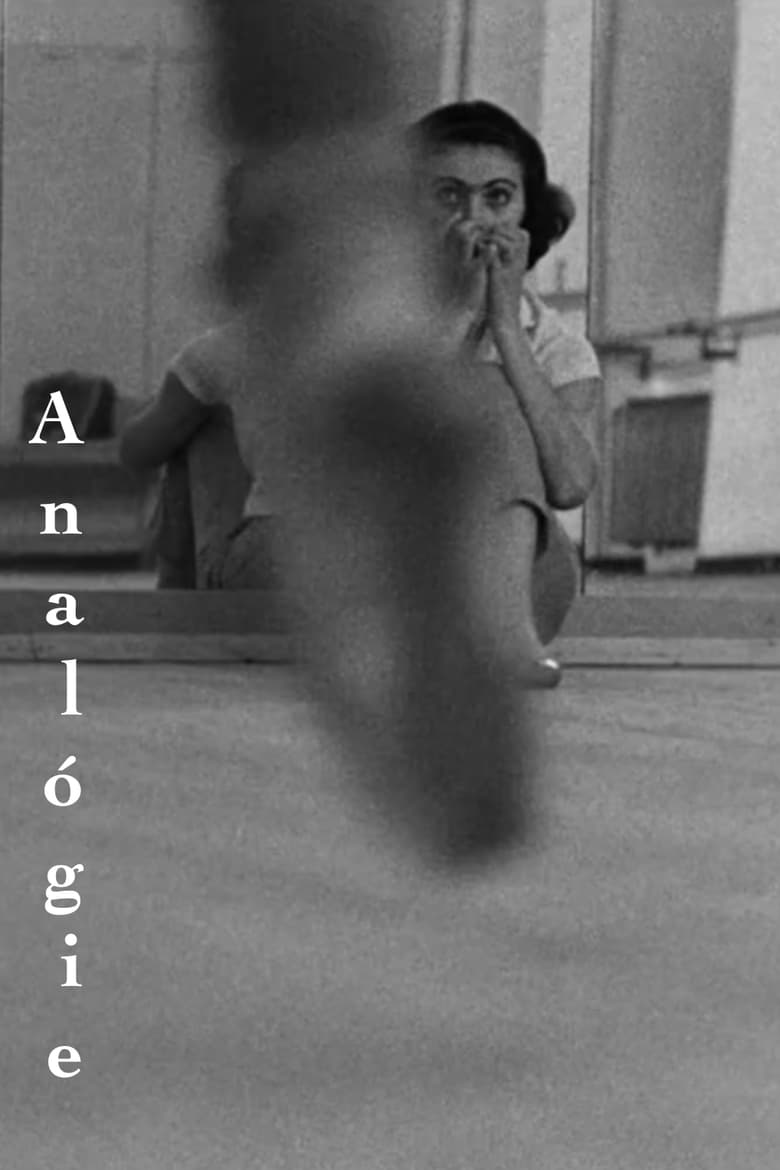 Poster of Analógie