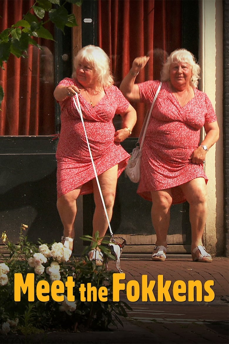 Poster of Meet the Fokkens