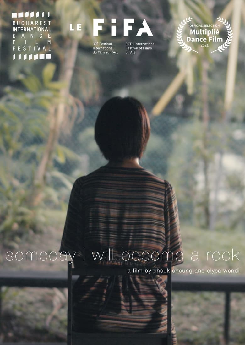 Poster of Someday I Will Become a Rock