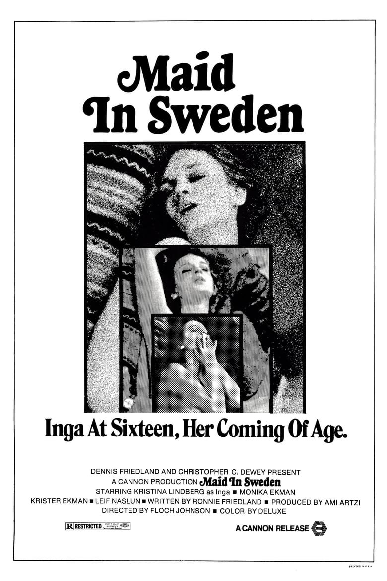 Poster of Maid in Sweden