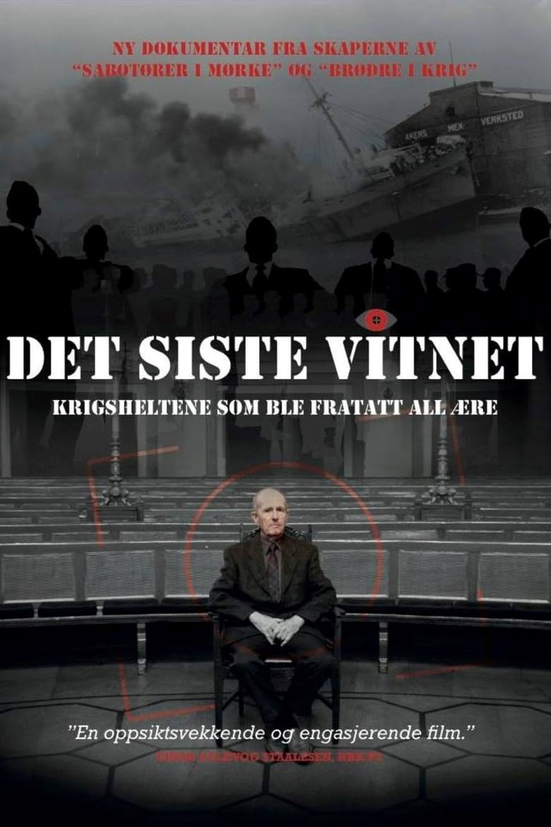 Poster of Det siste vitnet