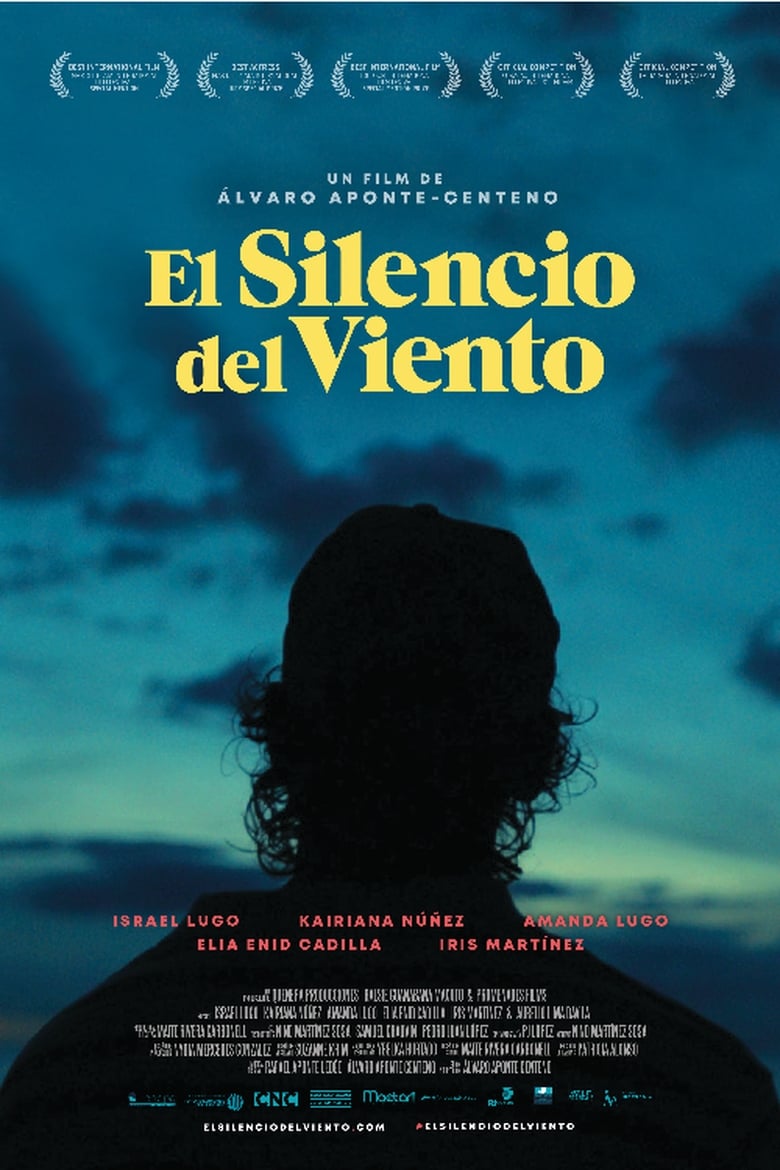 Poster of El silencio del viento