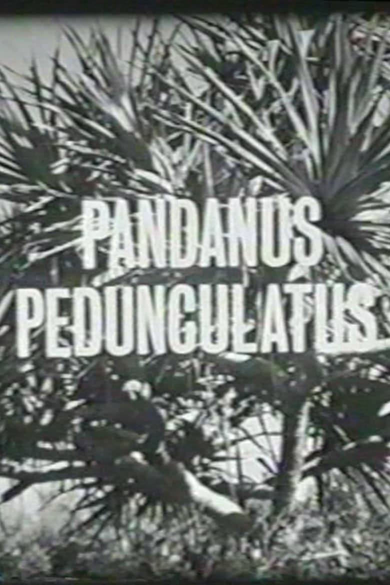 Poster of Pandanus Pedunculatus