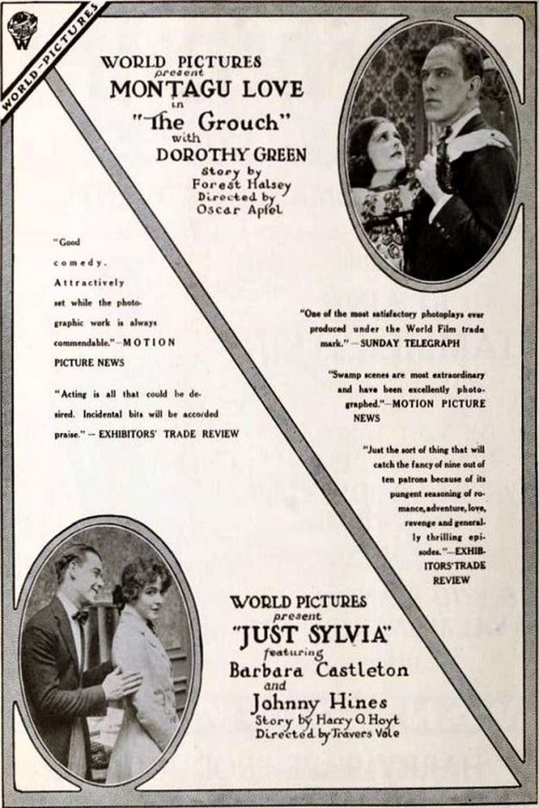 Poster of The Grouch