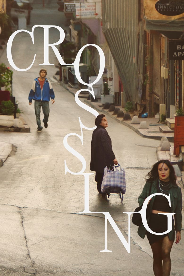 Poster of Crossing