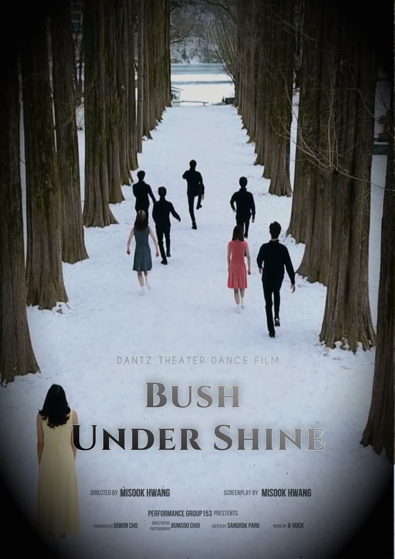 Poster of Bush Under Shine