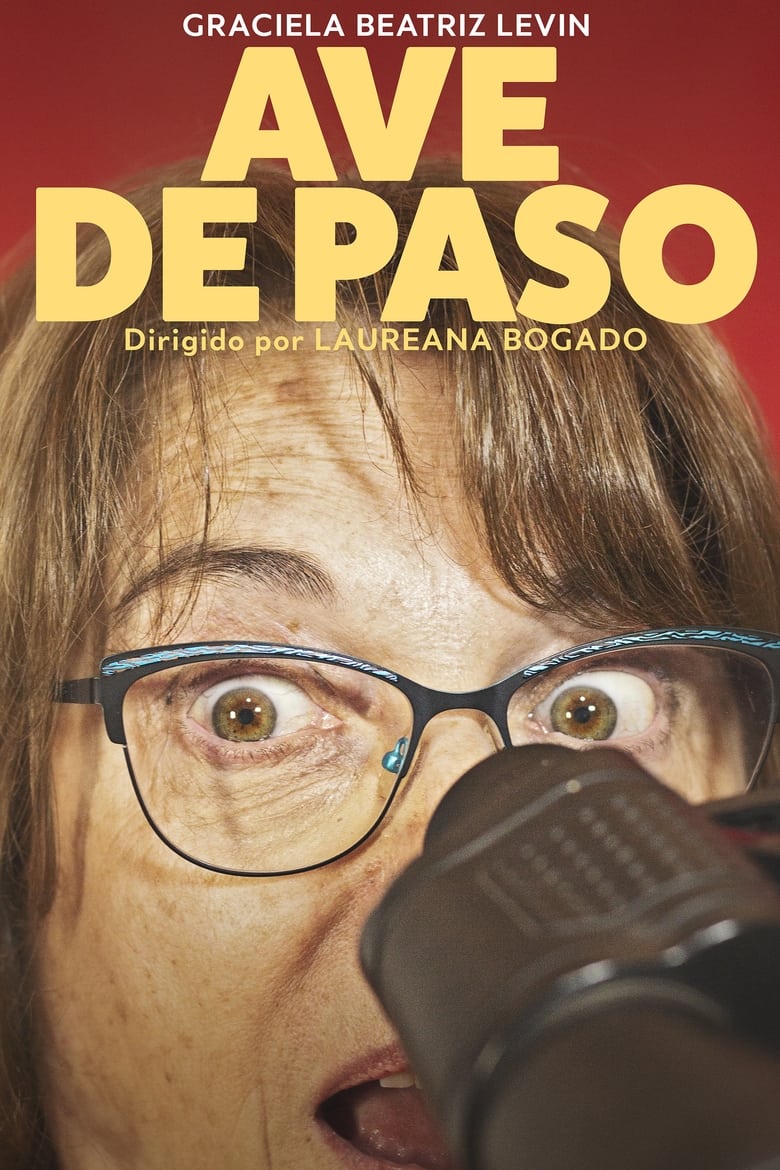 Poster of Ave de paso