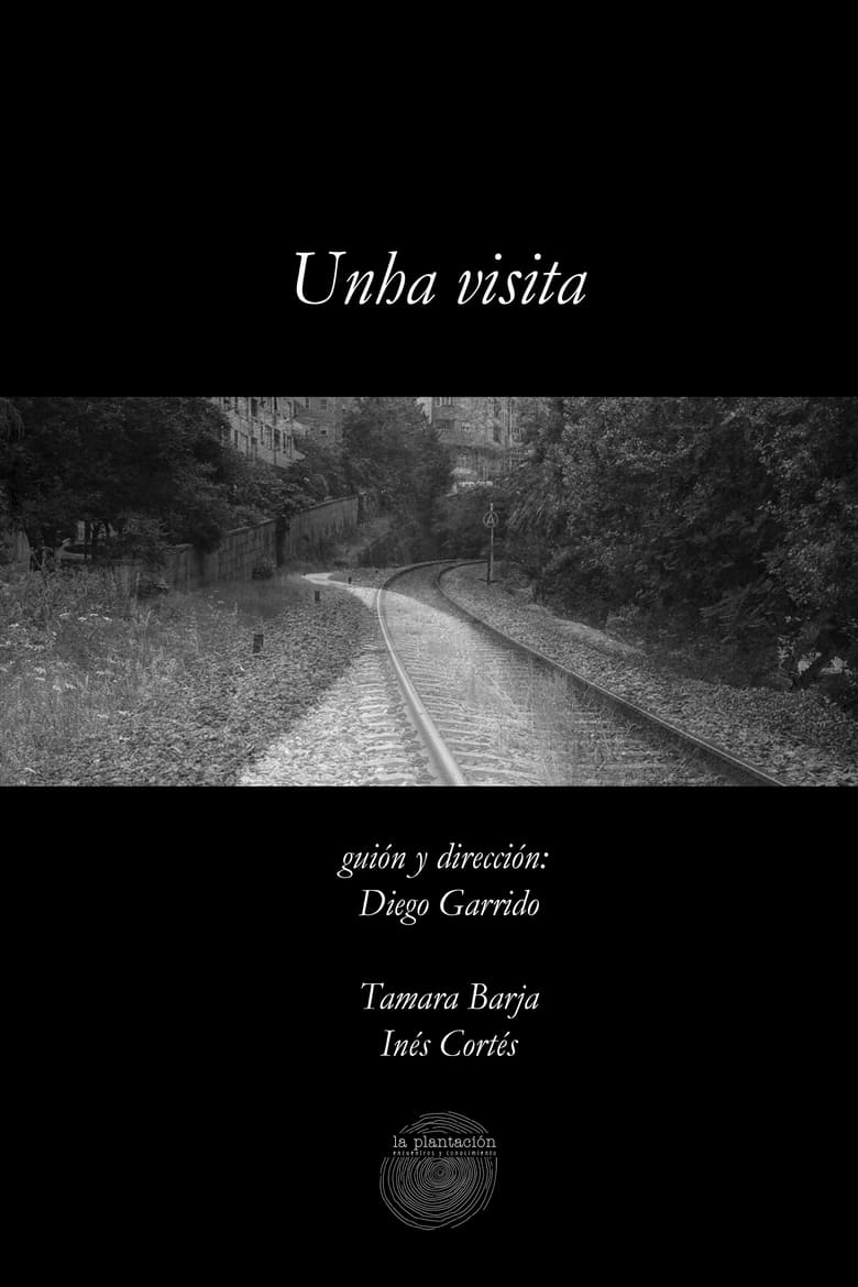 Poster of Unha visita