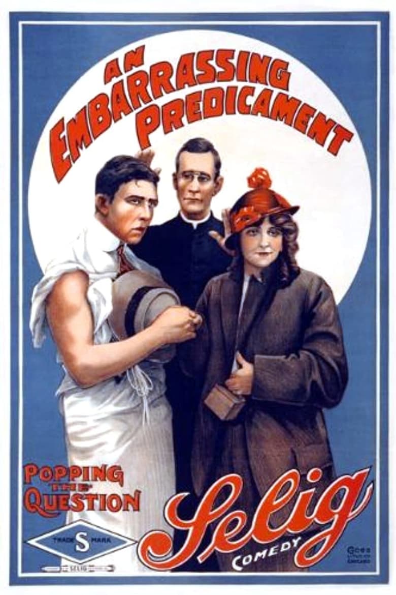 Poster of An Embarrassing Predicament