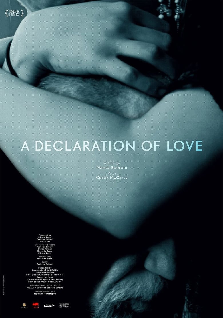 Poster of A Declaration of Love