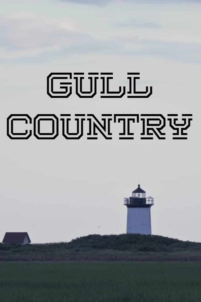 Poster of Gull Country