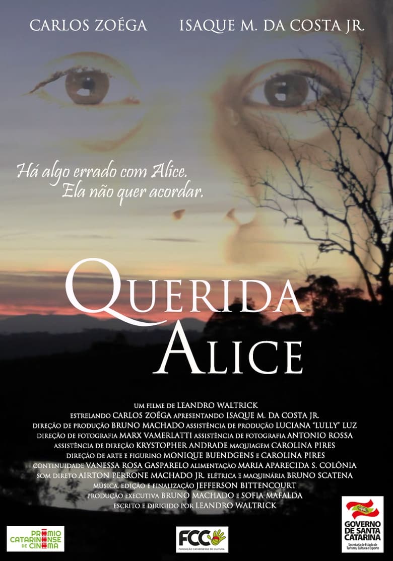 Poster of Querida Alice