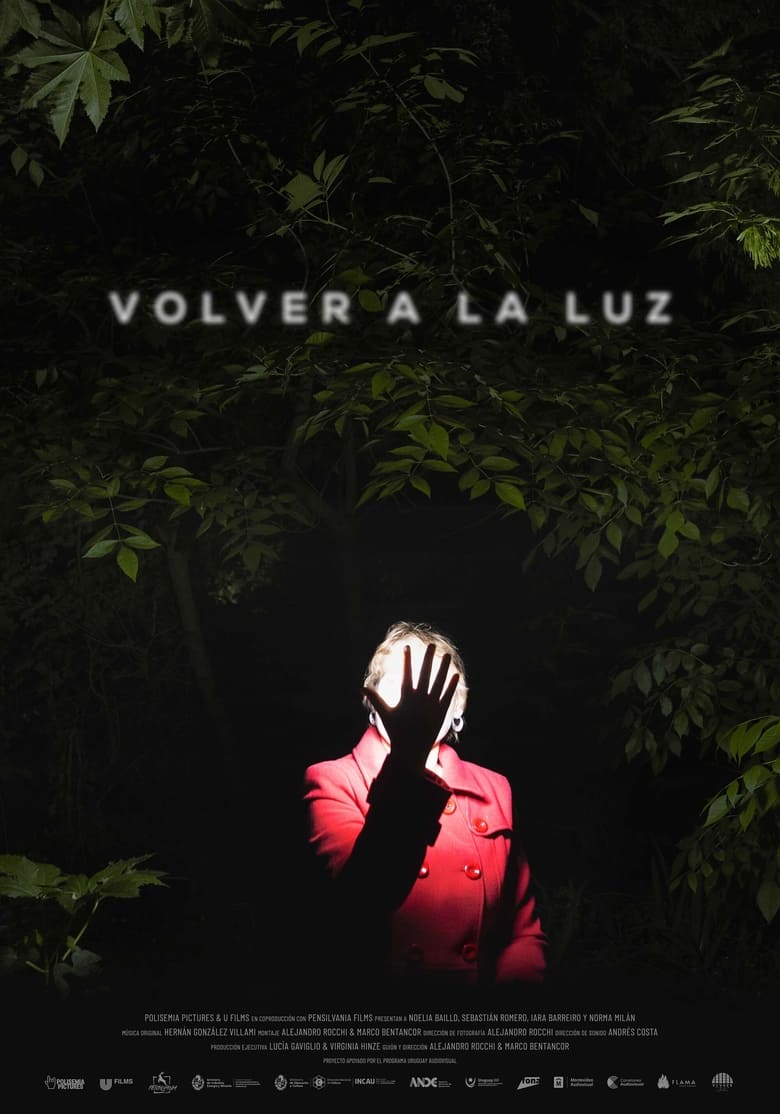 Poster of Volver a la luz - Back to the light