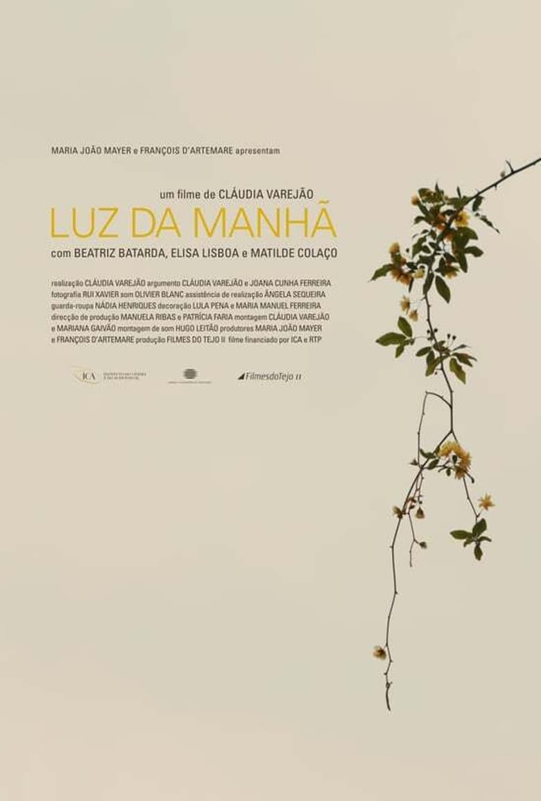 Poster of Luz da Manhã