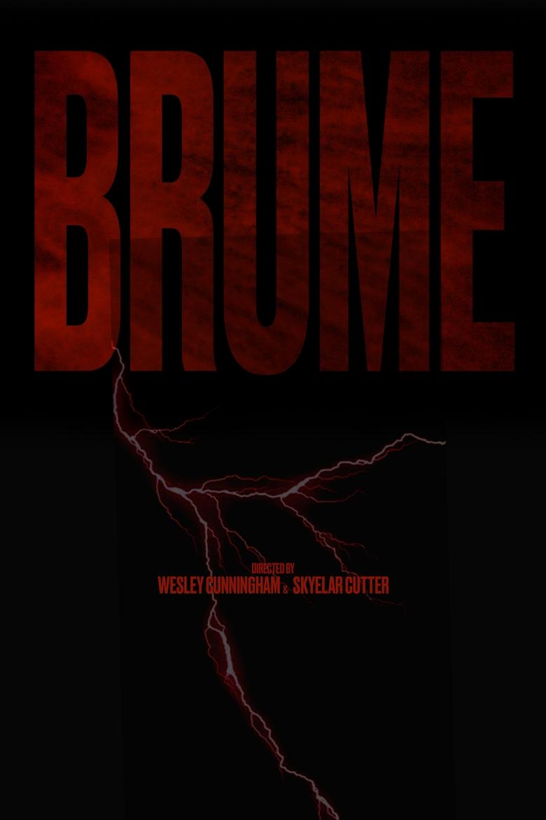 Poster of BRUME