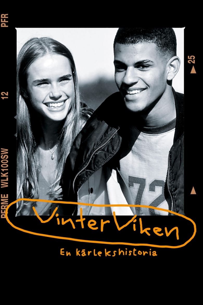 Poster of Vinterviken