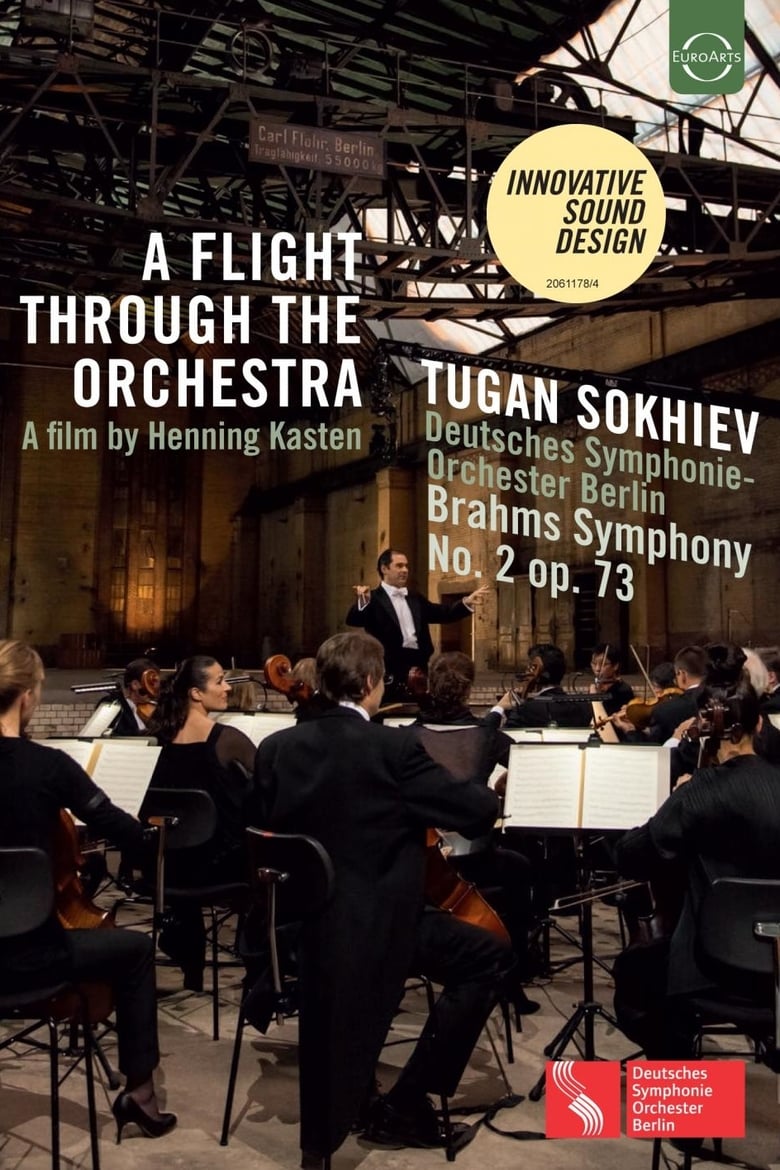 Poster of A Flight Through the Orchestra