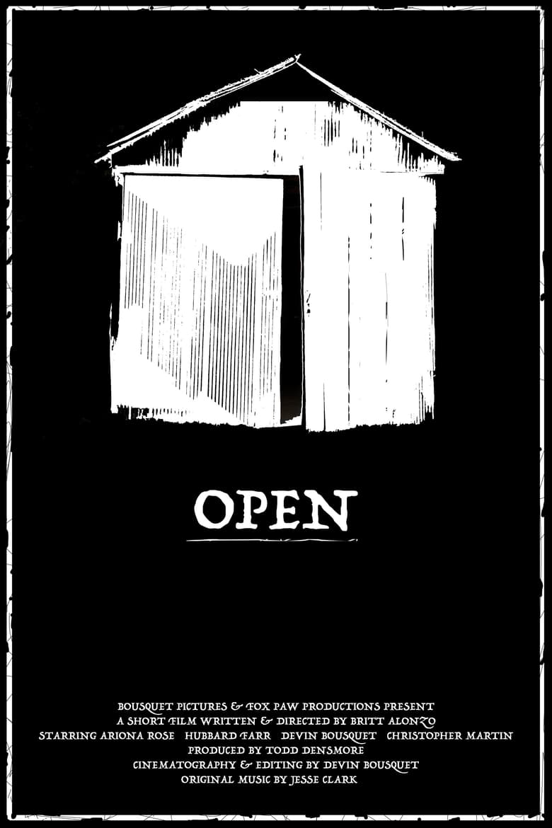 Poster of Open