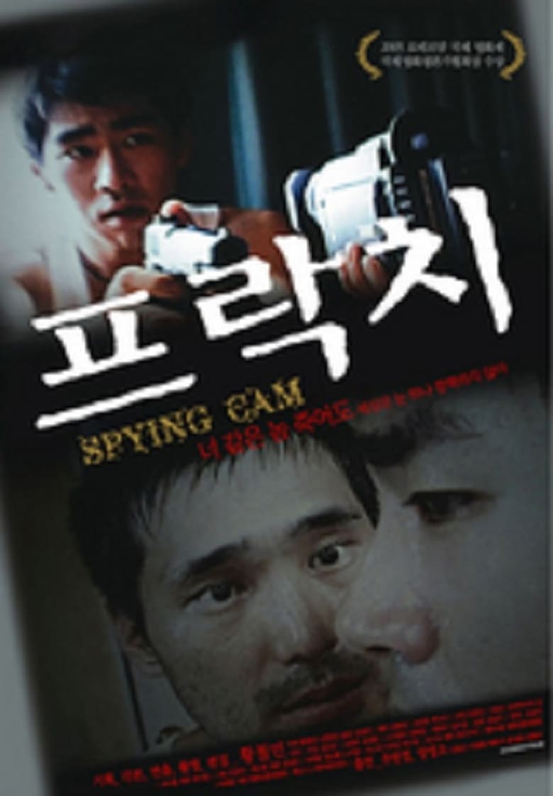 Poster of Spying Cam