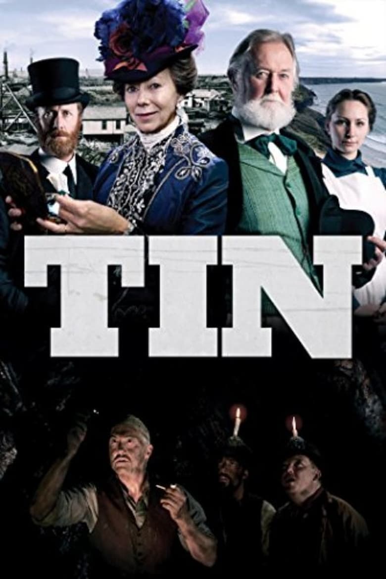 Poster of Tin