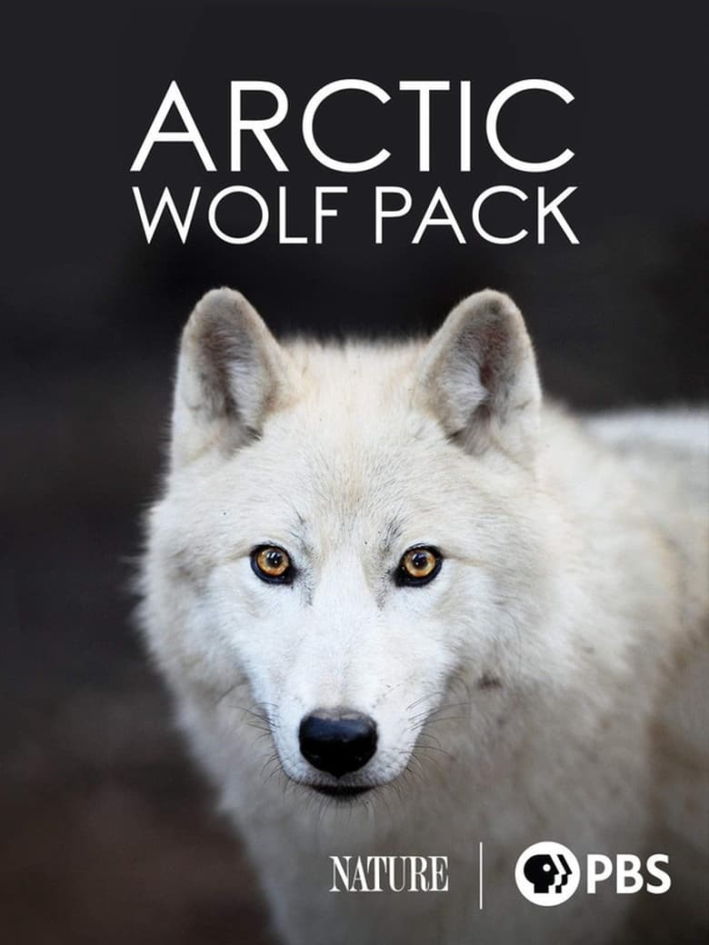 Poster of Nature: Arctic Wolf Pack