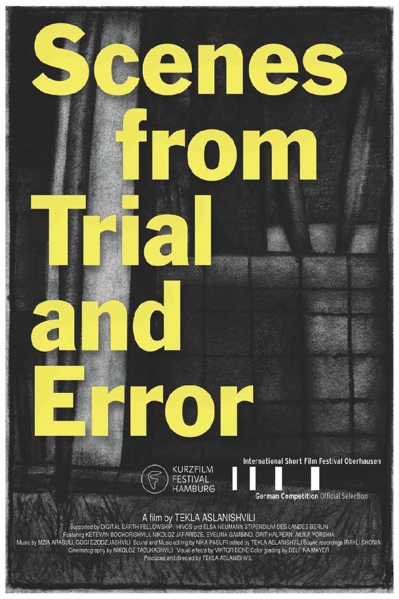 Poster of Scenes from Trial and Error