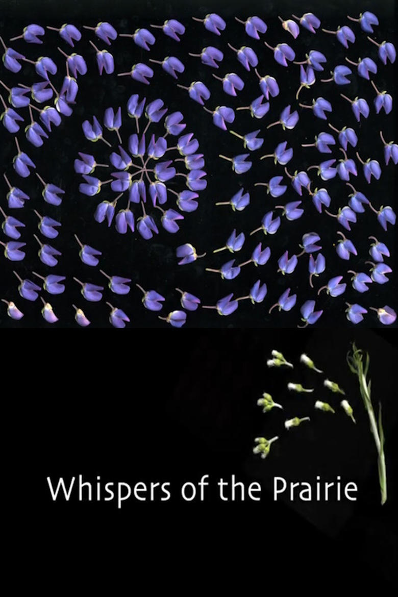 Poster of Whispers of the Prairie