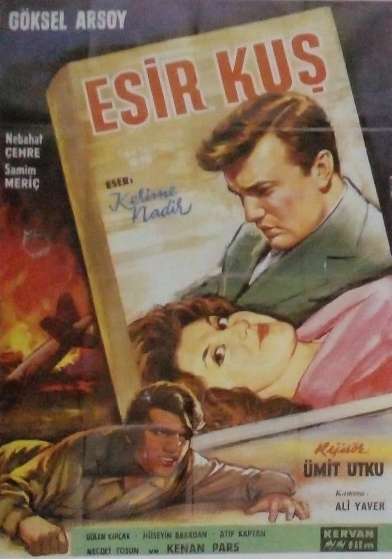 Poster of Esir Kuş