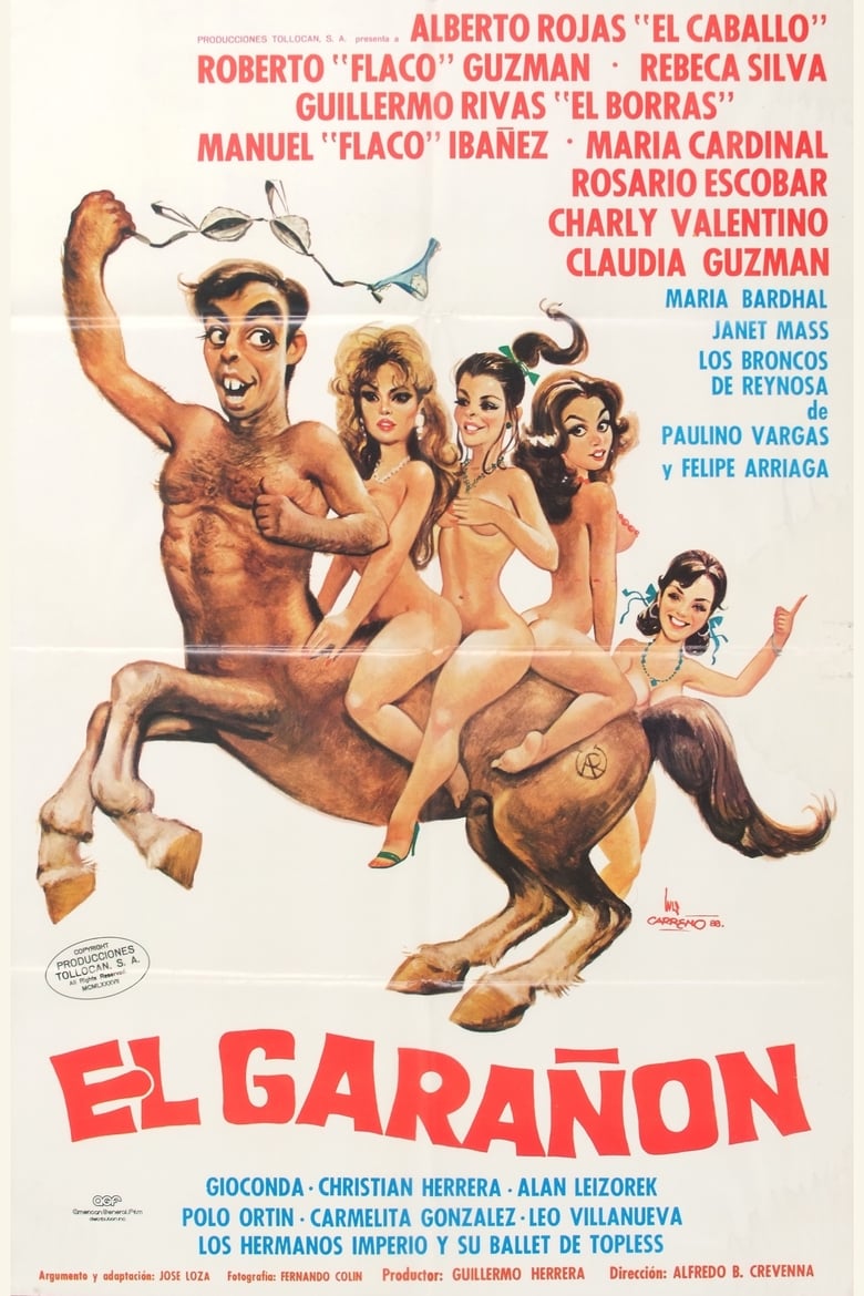 Poster of El garañón