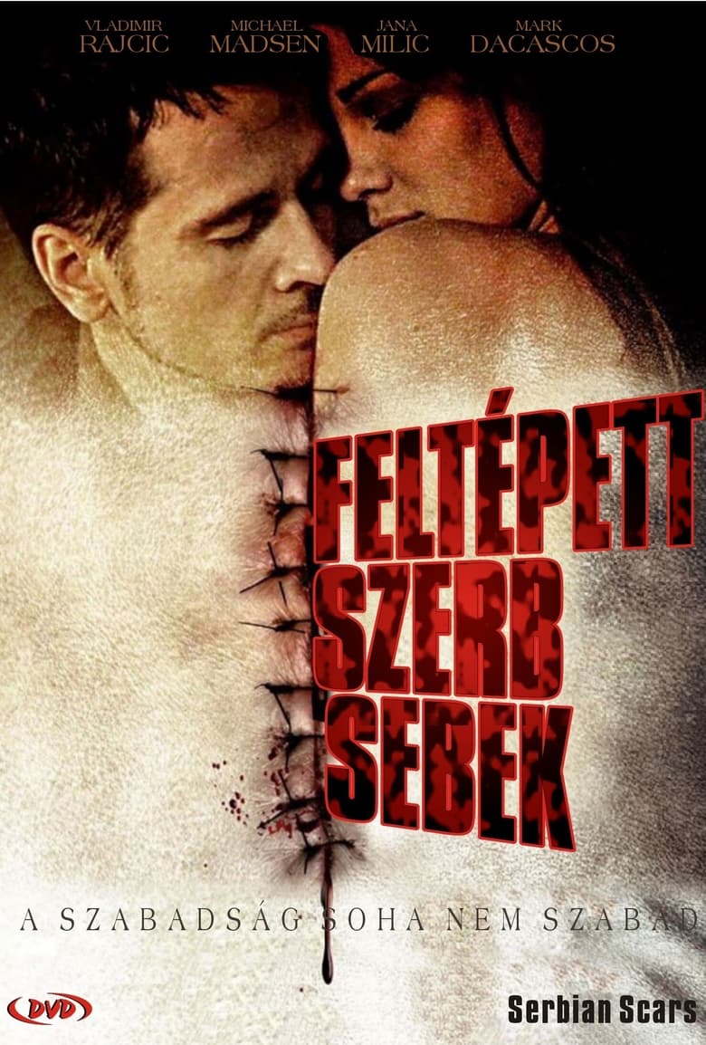 Poster of Serbian Scars