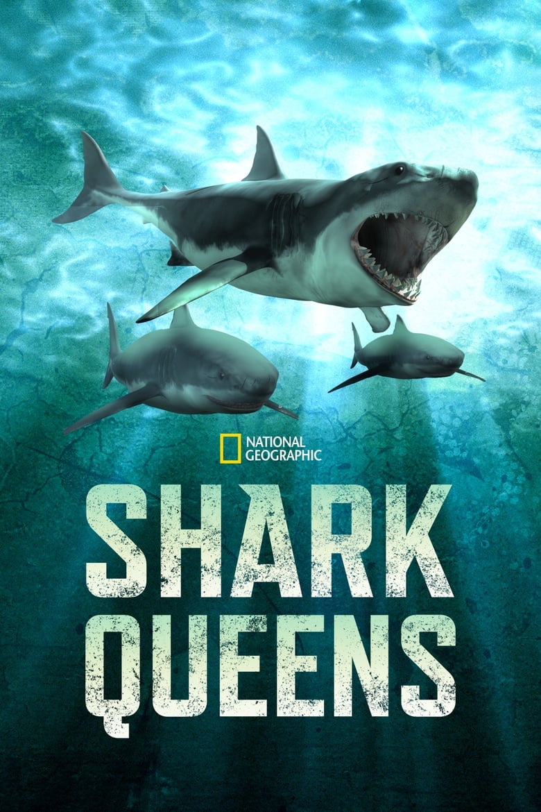 Poster of Shark Queens