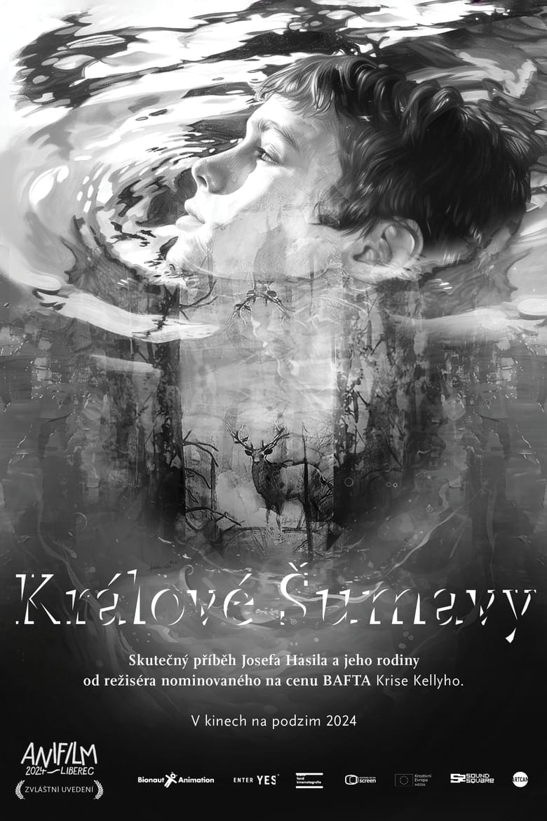 Poster of Králové Šumavy