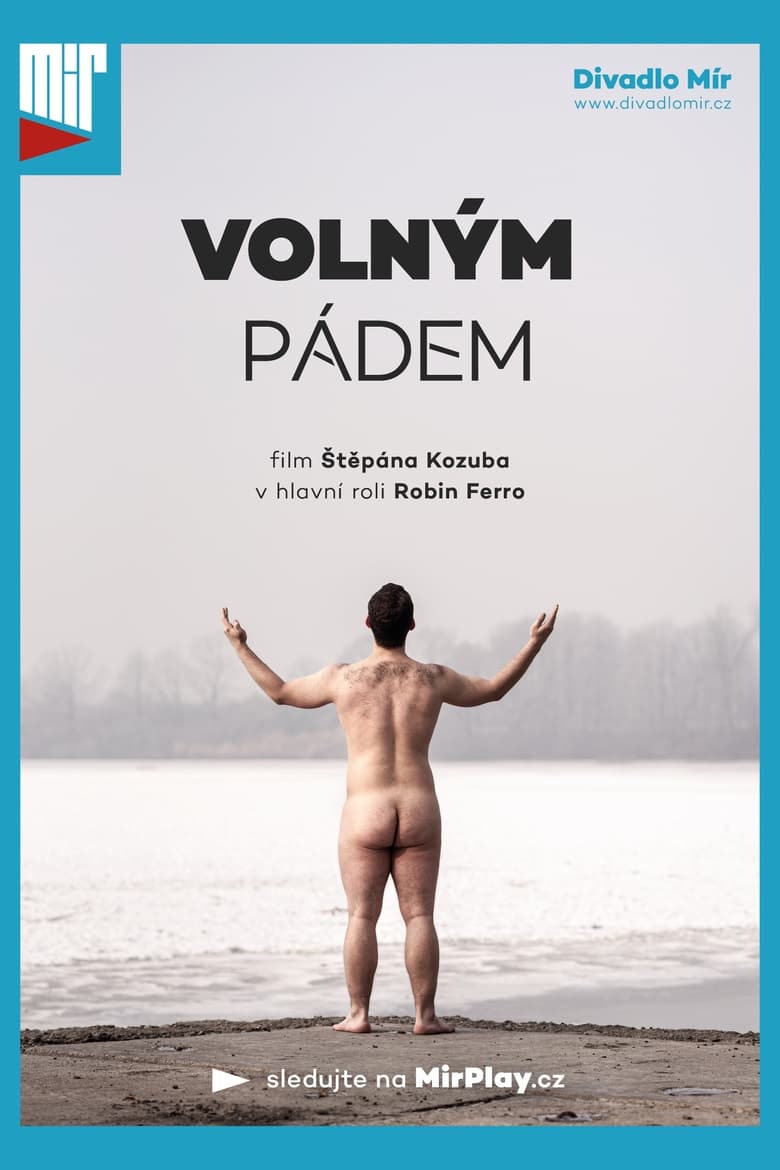 Poster of Volným pádem