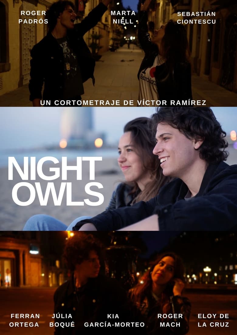 Poster of Night Owls