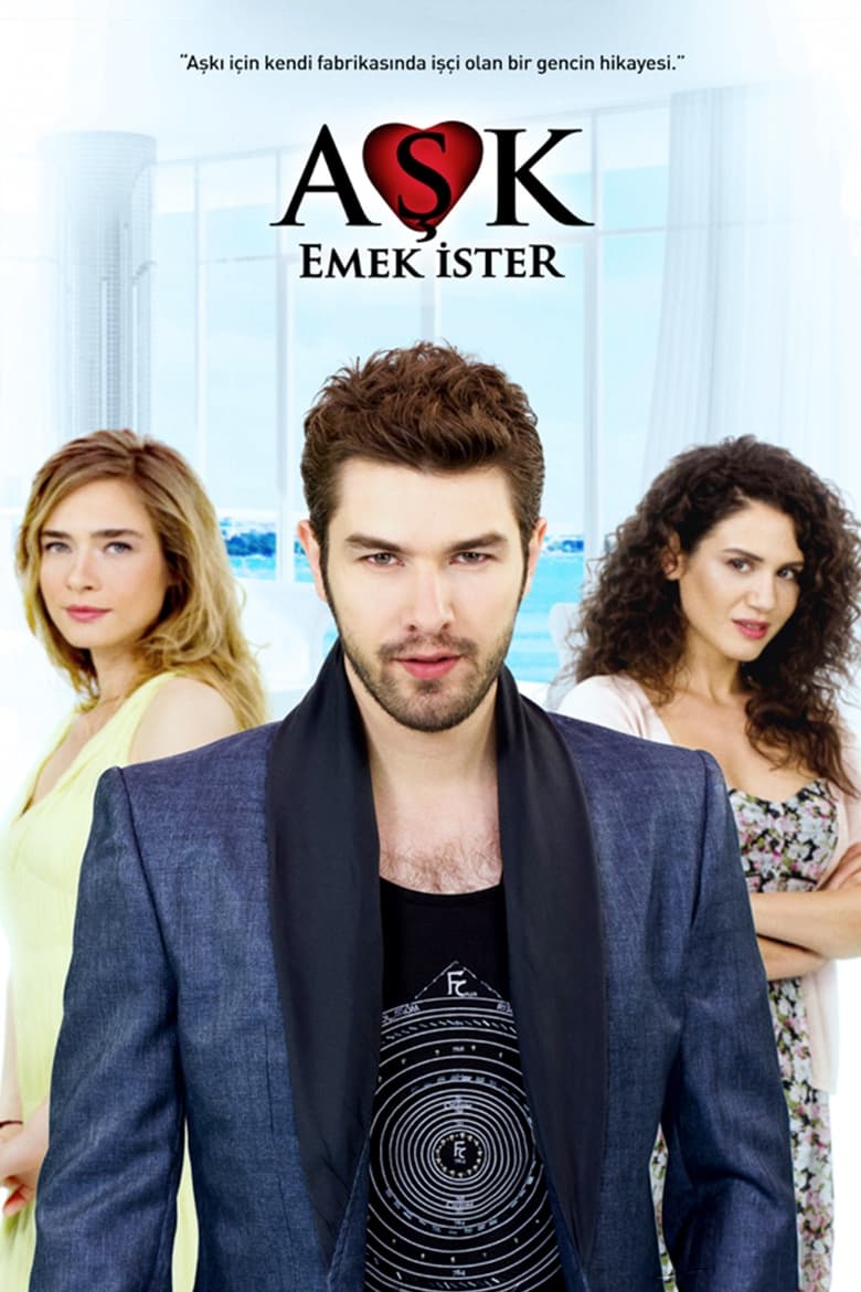 Poster of Aşk Emek İster