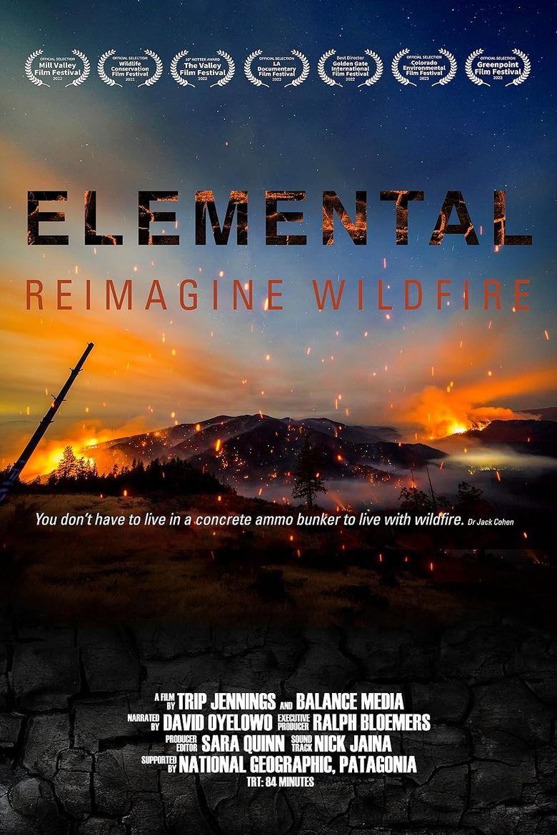 Poster of Elemental: Reimagine Wildfire