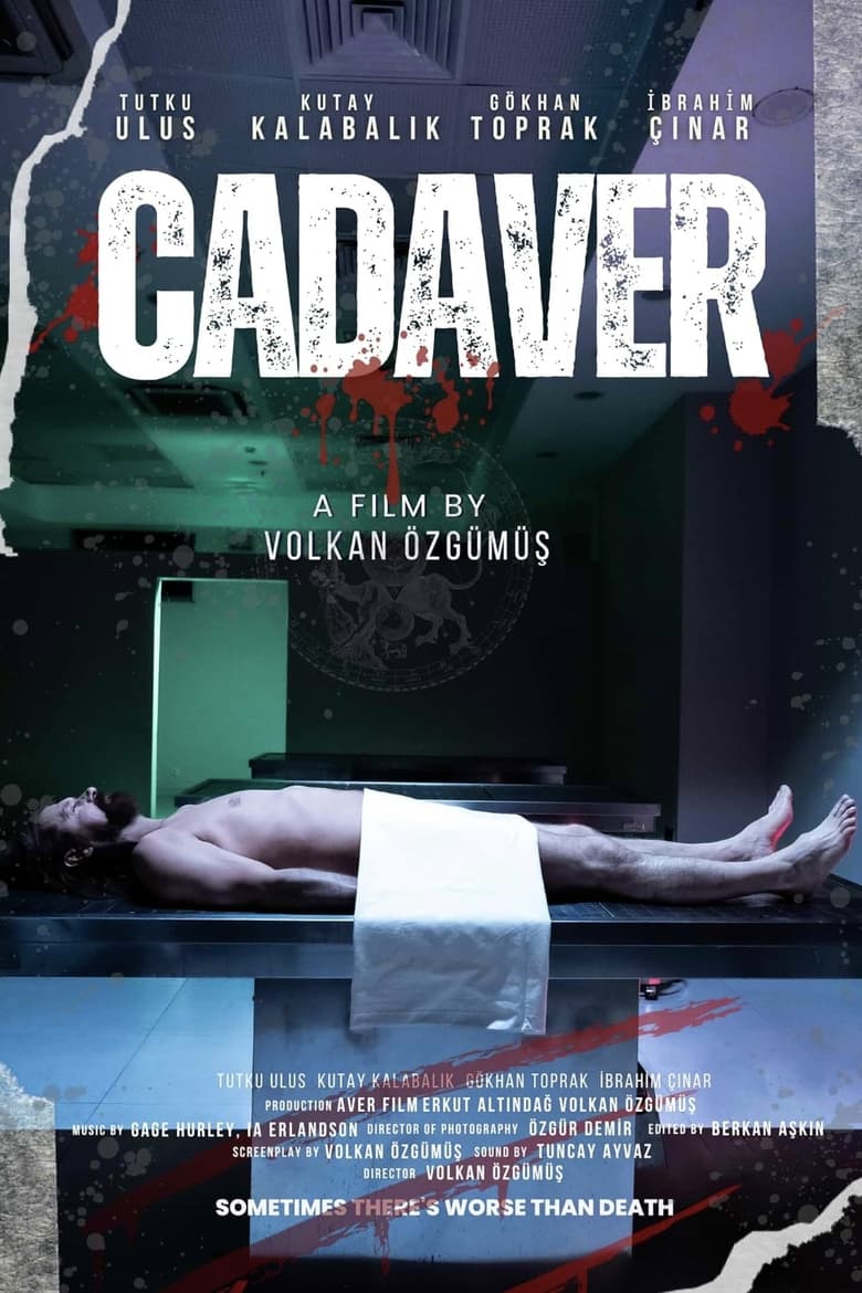 Poster of The Cadaver