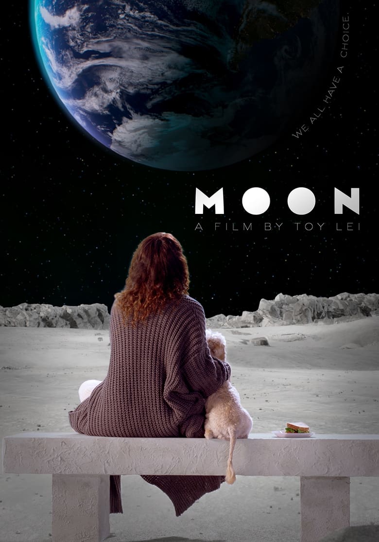 Poster of Moon