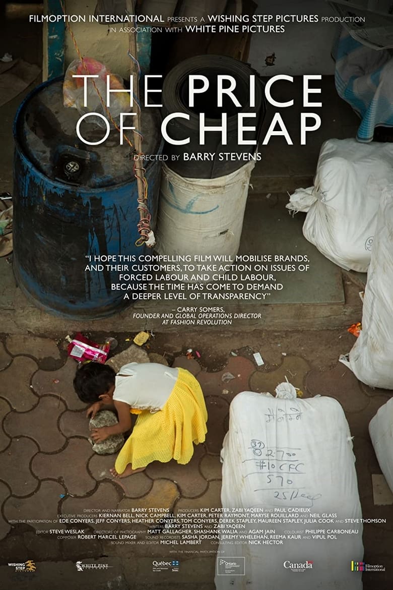 Poster of The Price of Cheap